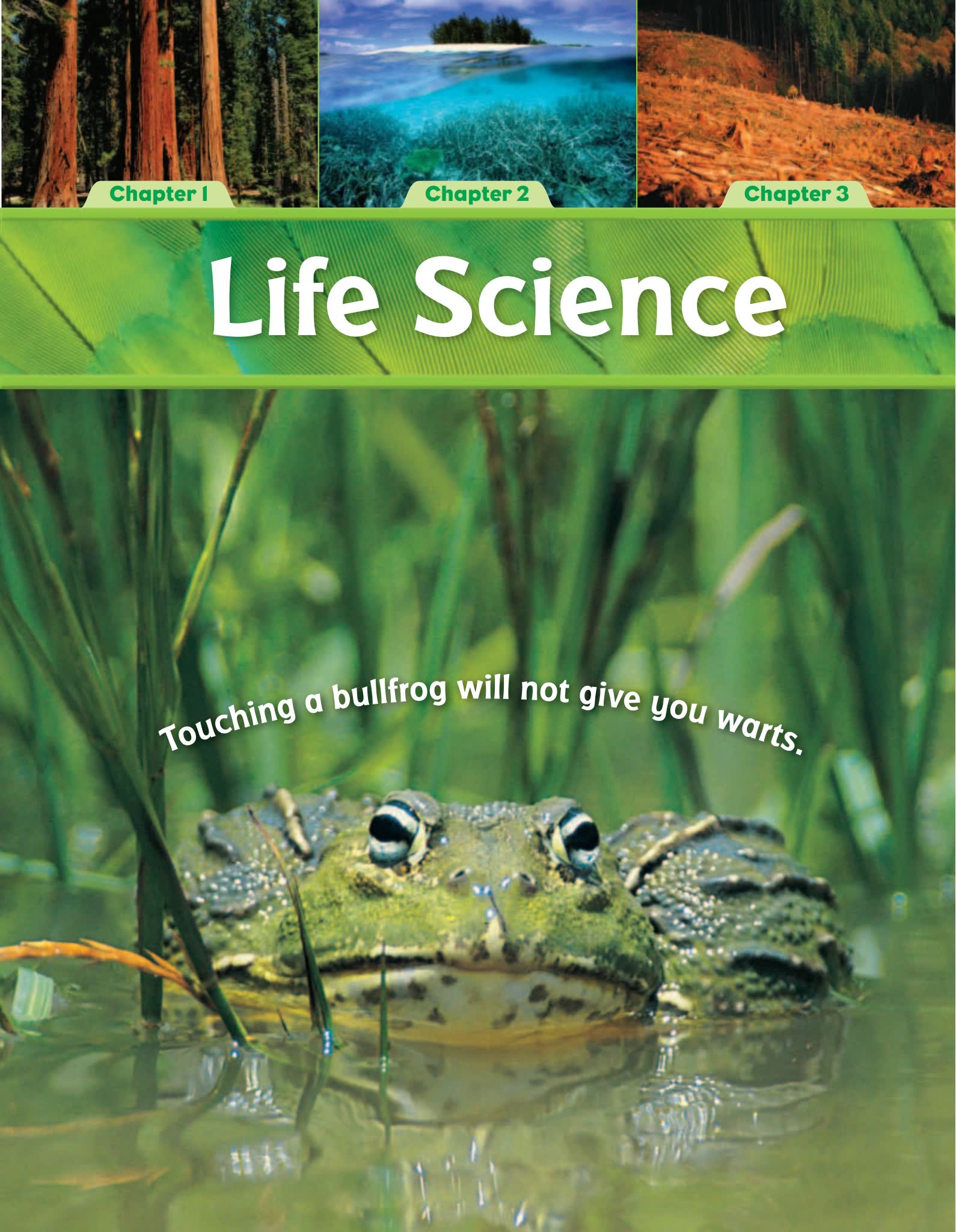 《California-Science加州科学G1-G6》英文教材闪卡读本PDF01