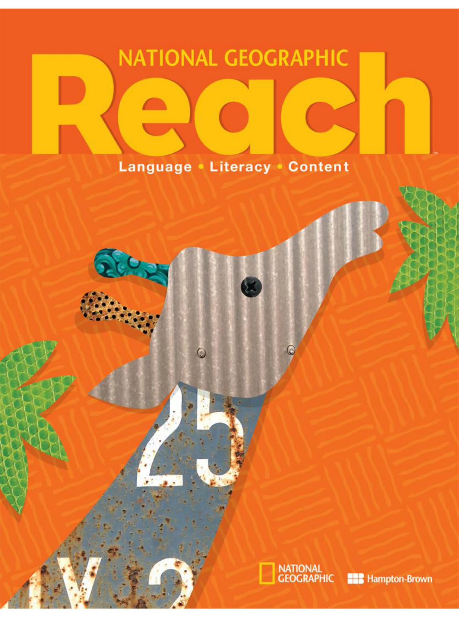 《Reach-B-F级别》综合学科练习册学生用书绘本外教课