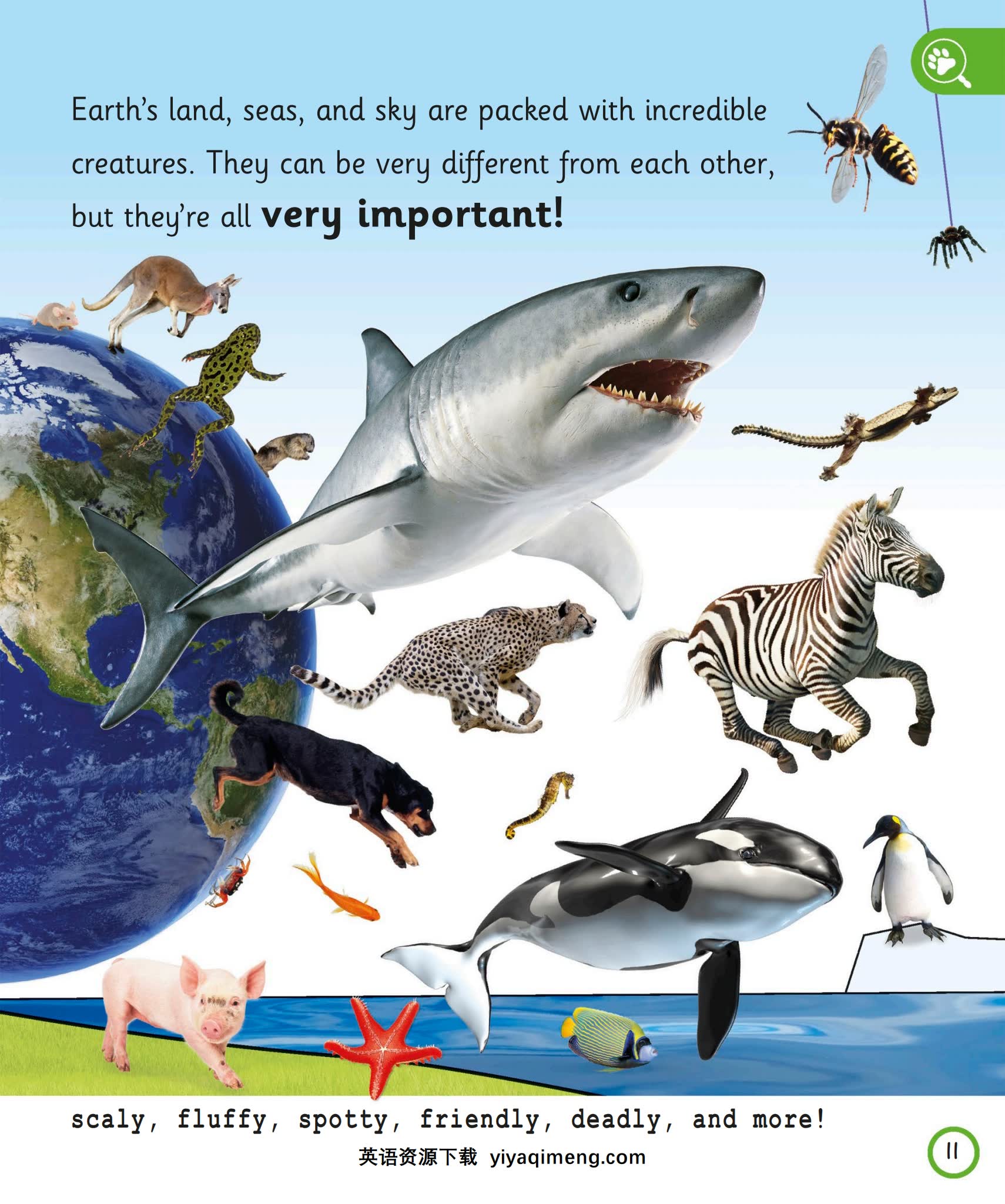 DK百科经典之作My Encyclopedia of Very Importan《那些重要的》系列最全7册