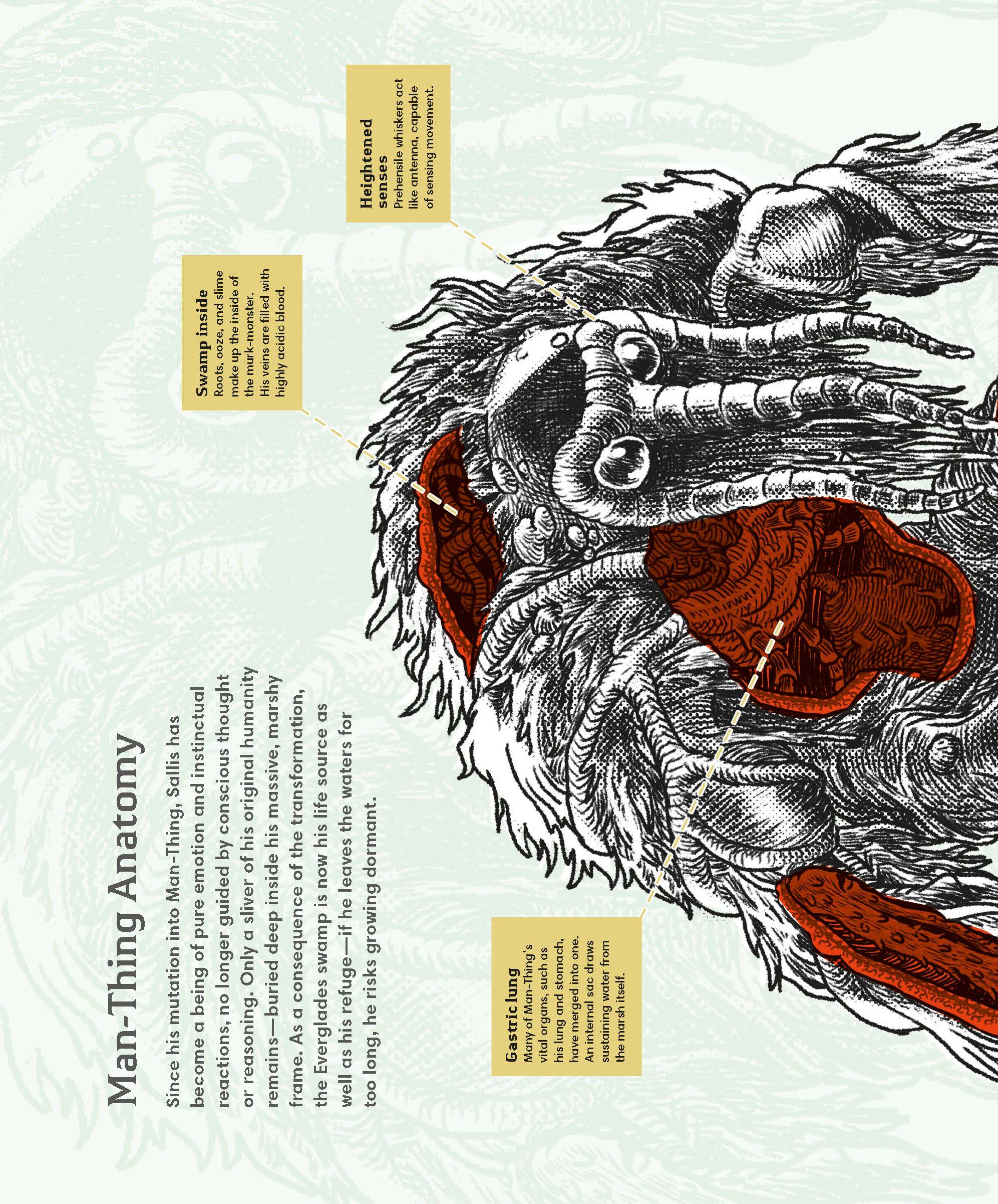 Marvel Monsters漫威怪兽宇宙生物百科指南PDF