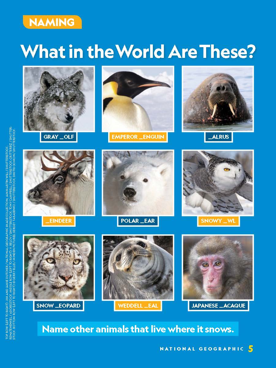 National Geographic Little Kids 2022全年美国国家地理杂志幼儿版双月刊