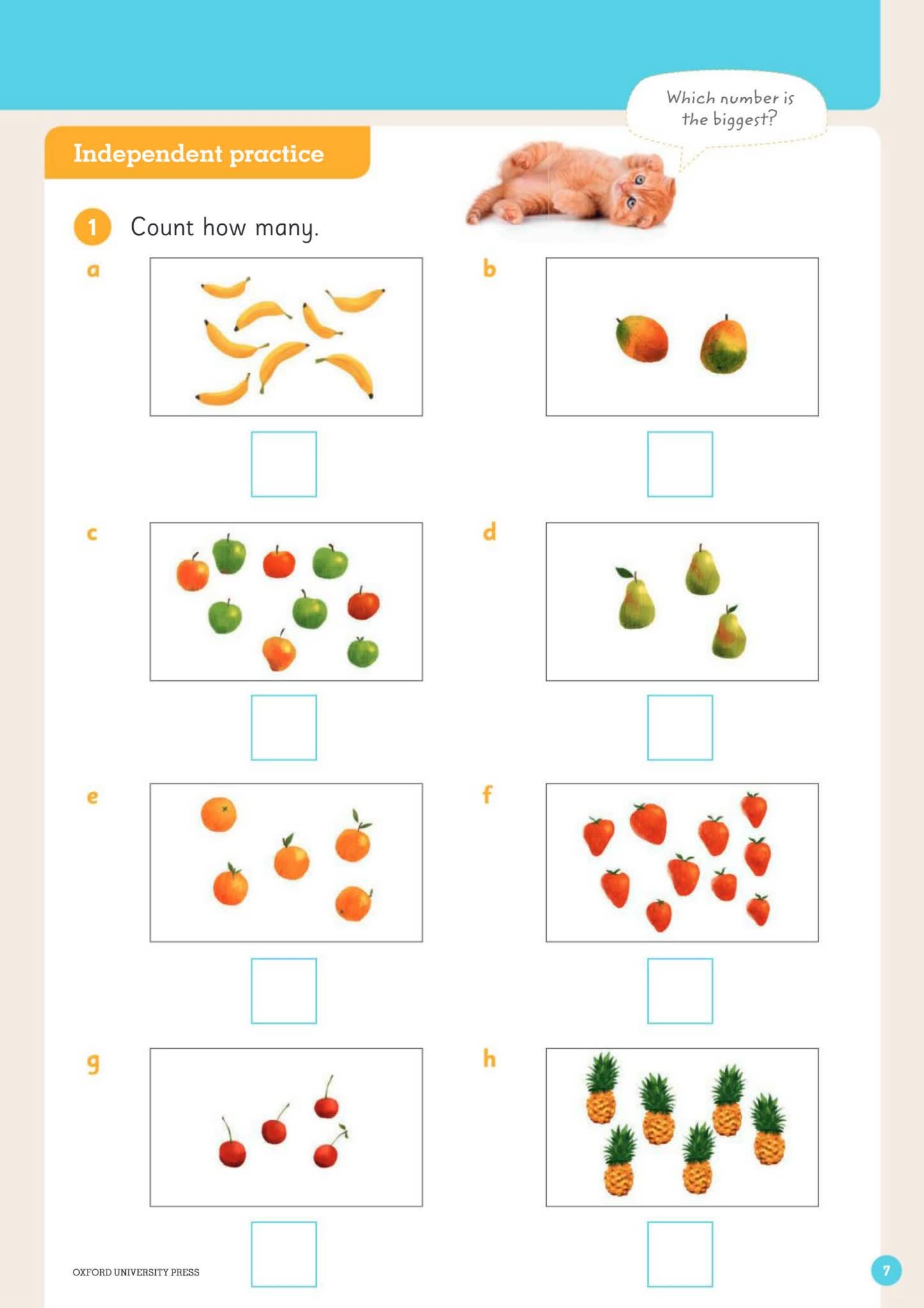 牛津IB小学数学练习册 Oxford Mathematics PYP