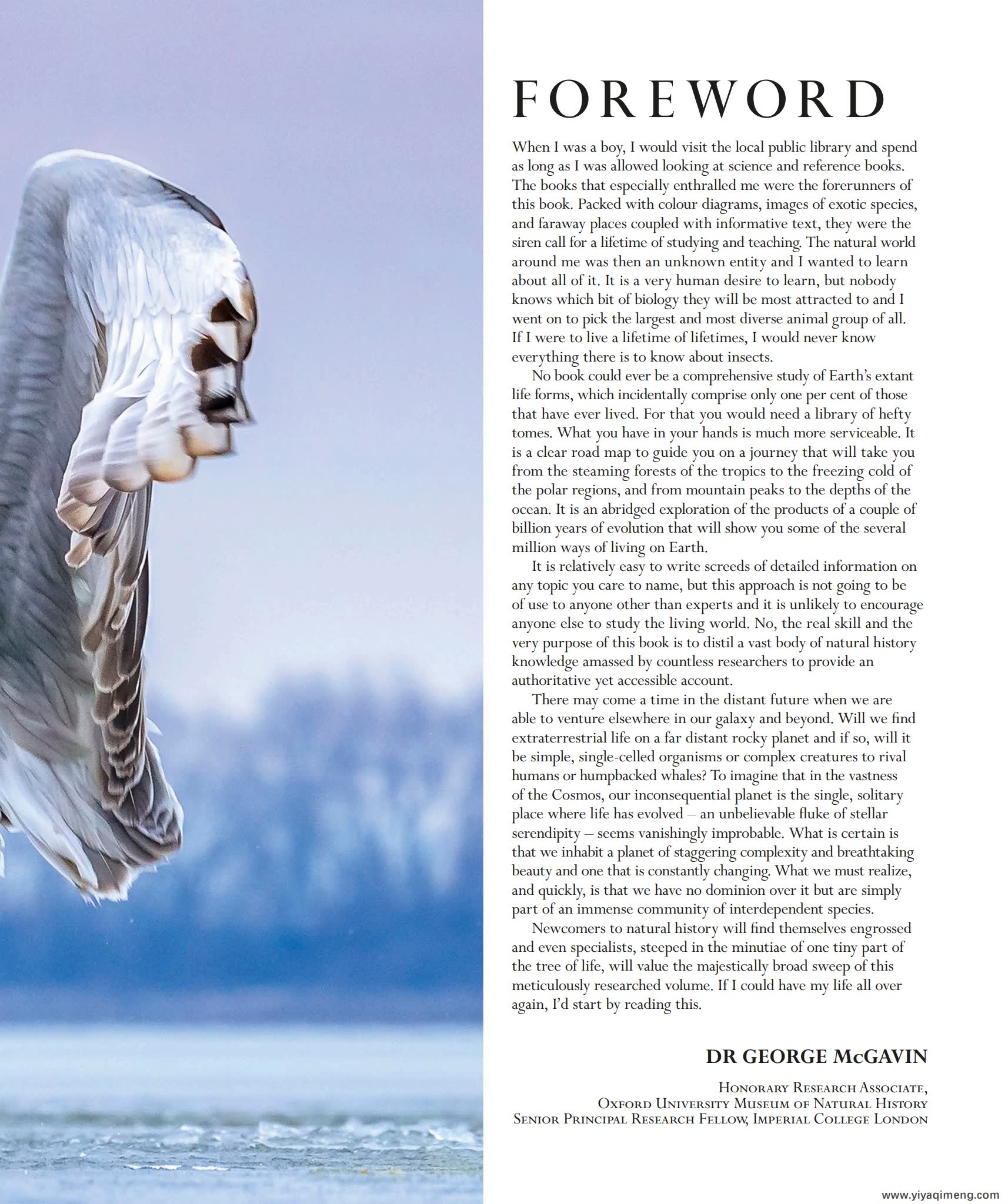 DK自然史科普知识英文绘本The Natural History Book