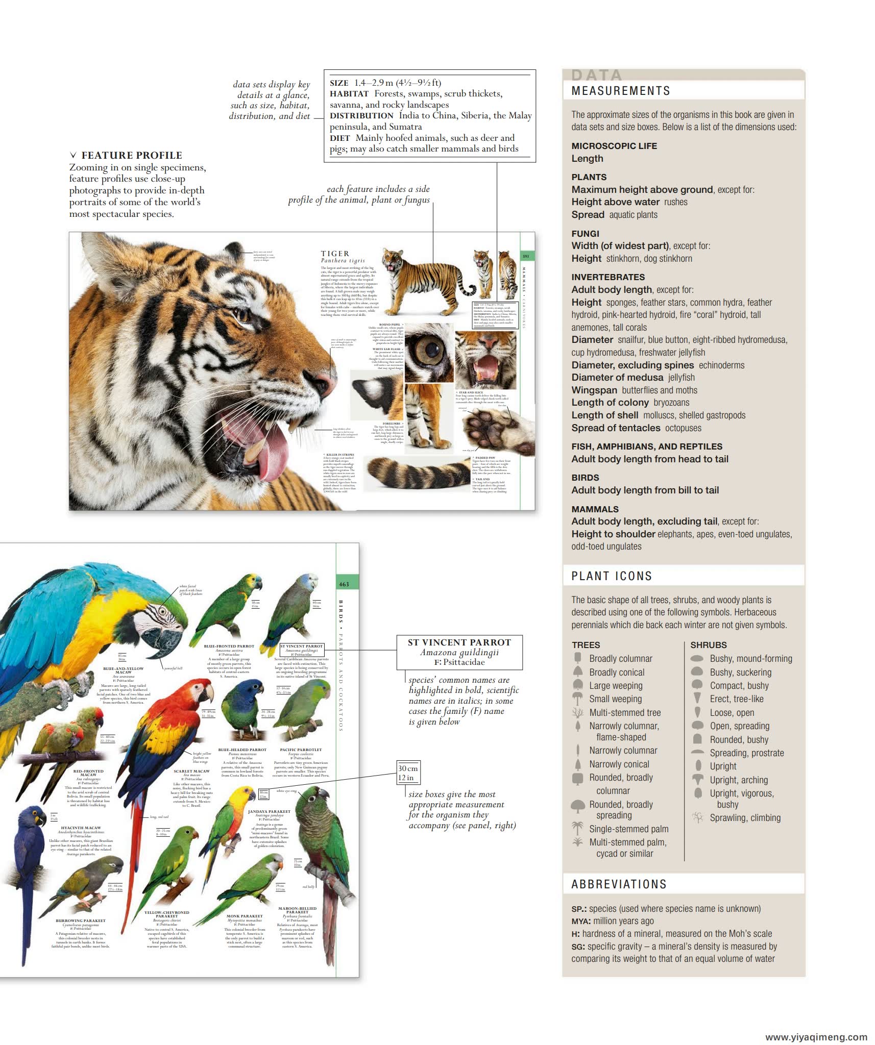 DK自然史科普知识英文绘本The Natural History Book
