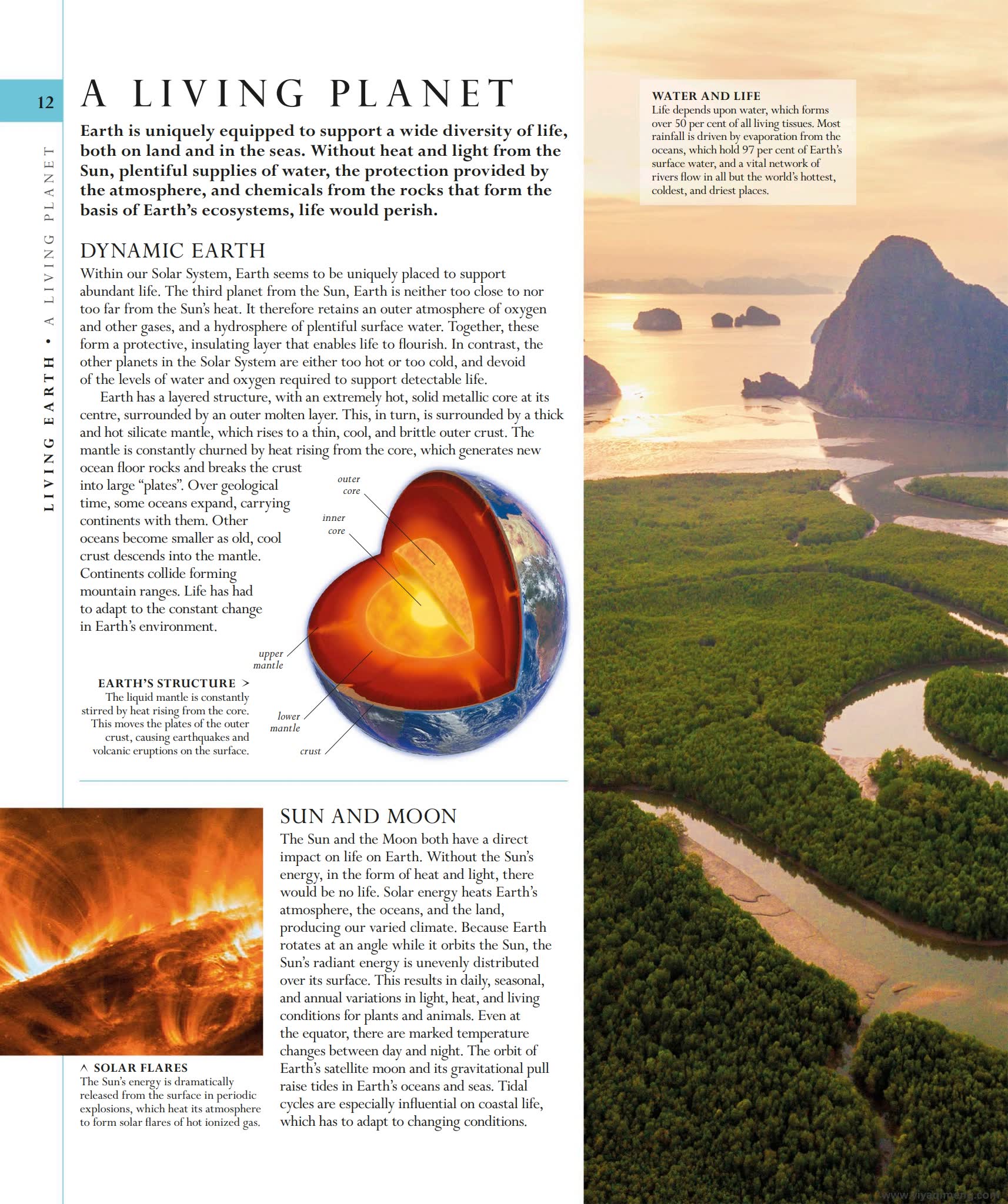 DK自然史科普知识英文绘本The Natural History Book
