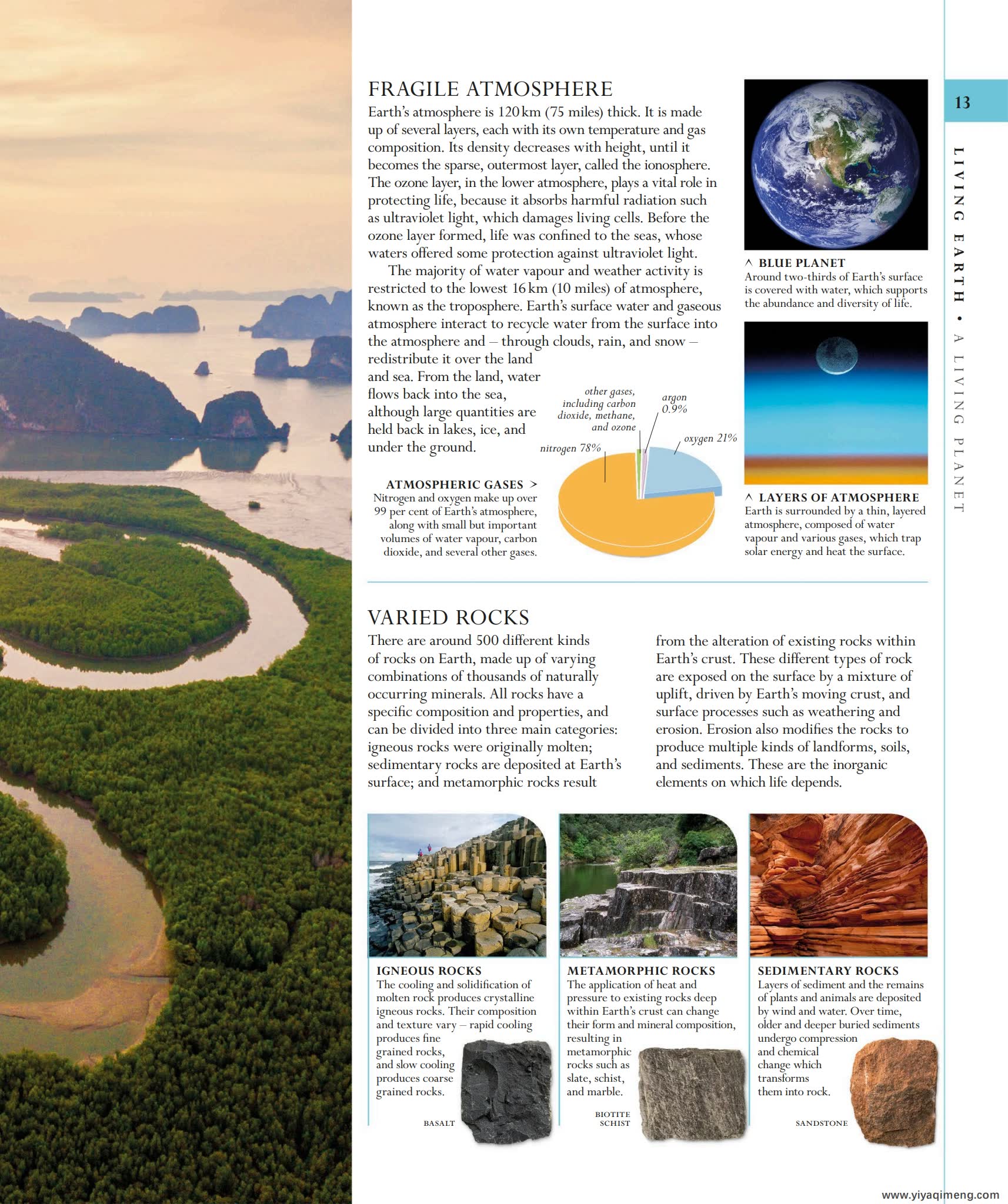 DK自然史科普知识英文绘本The Natural History Book