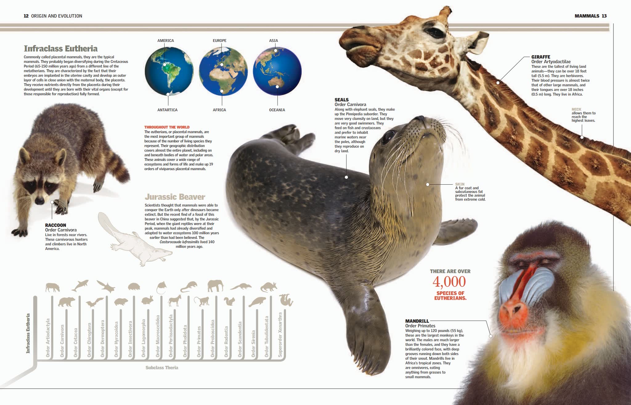 英国小学科学百科读物(不列颠图解科学丛书)Britannica Illustrated Science Library