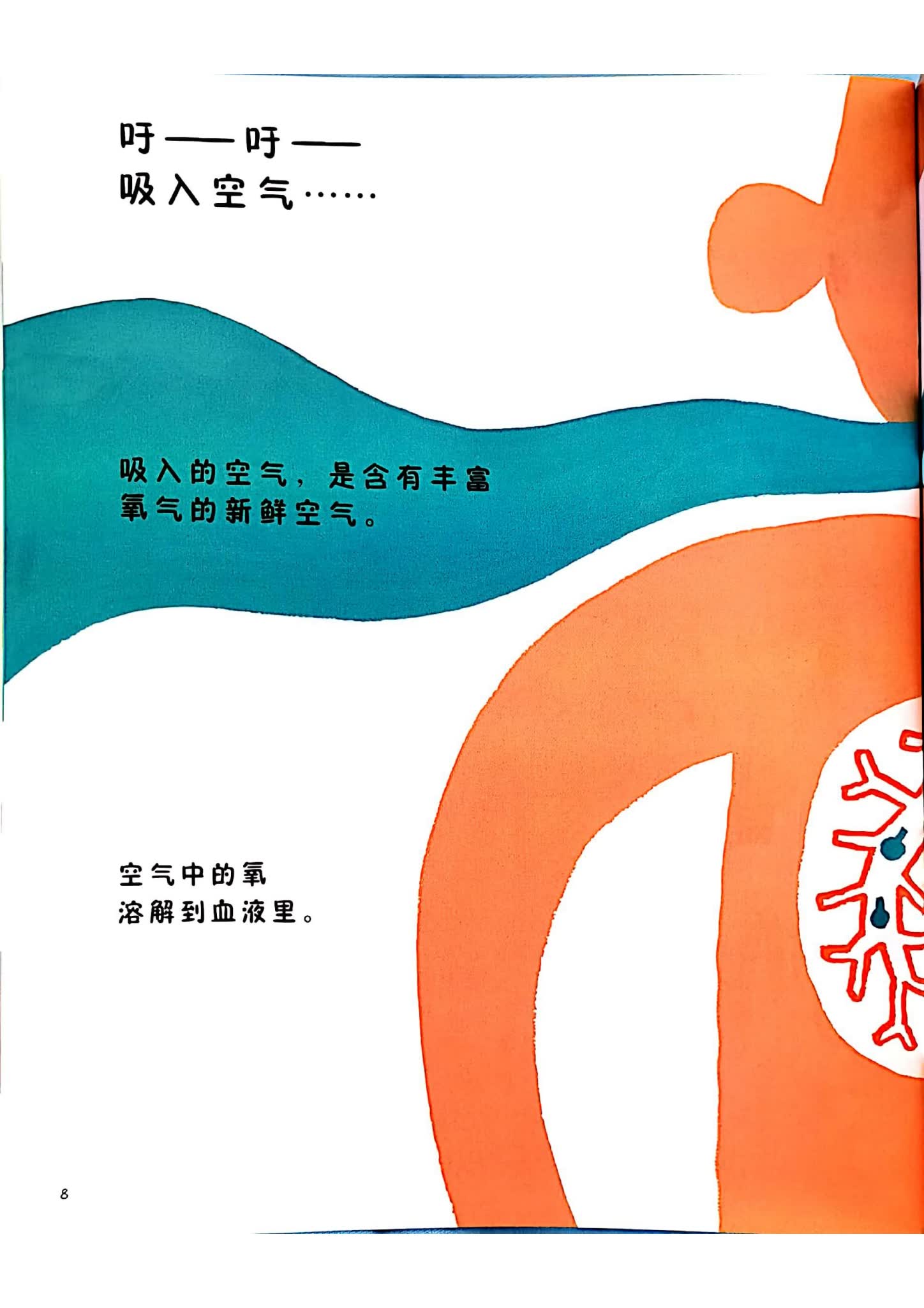 绝版科普绘本 身体大发现