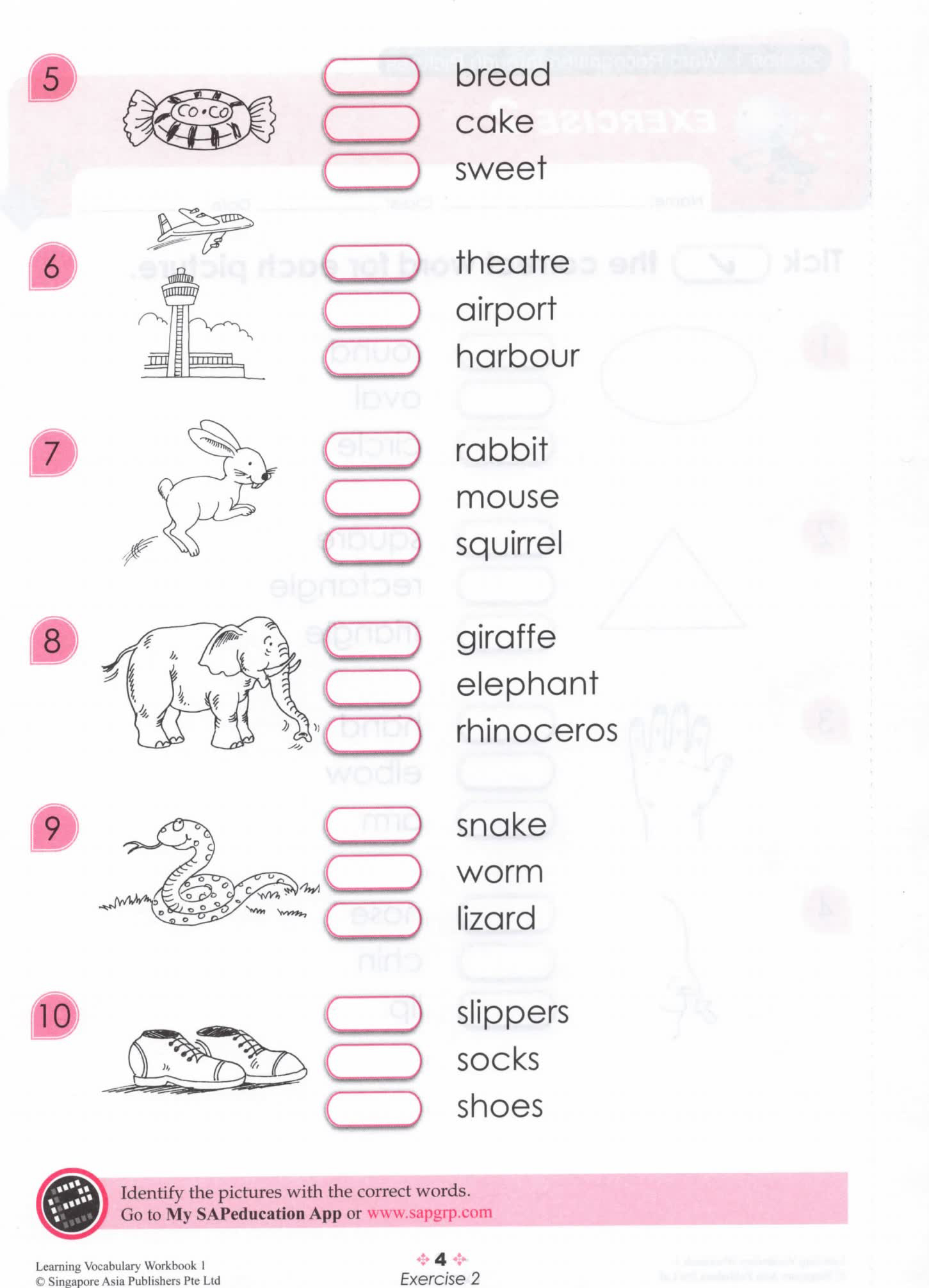 SAP Learning Vocabulary 新加坡词汇练习册