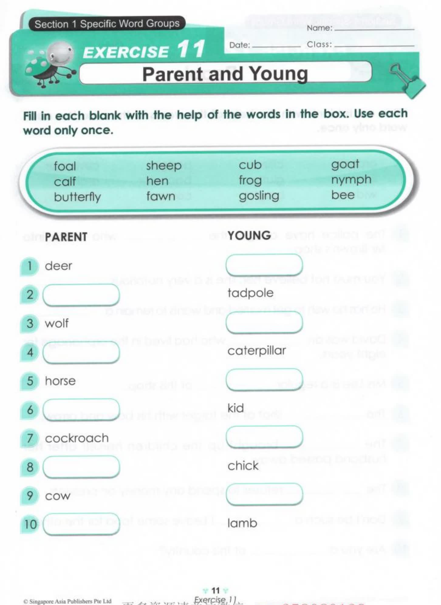 SAP Learning Vocabulary 新加坡词汇练习册