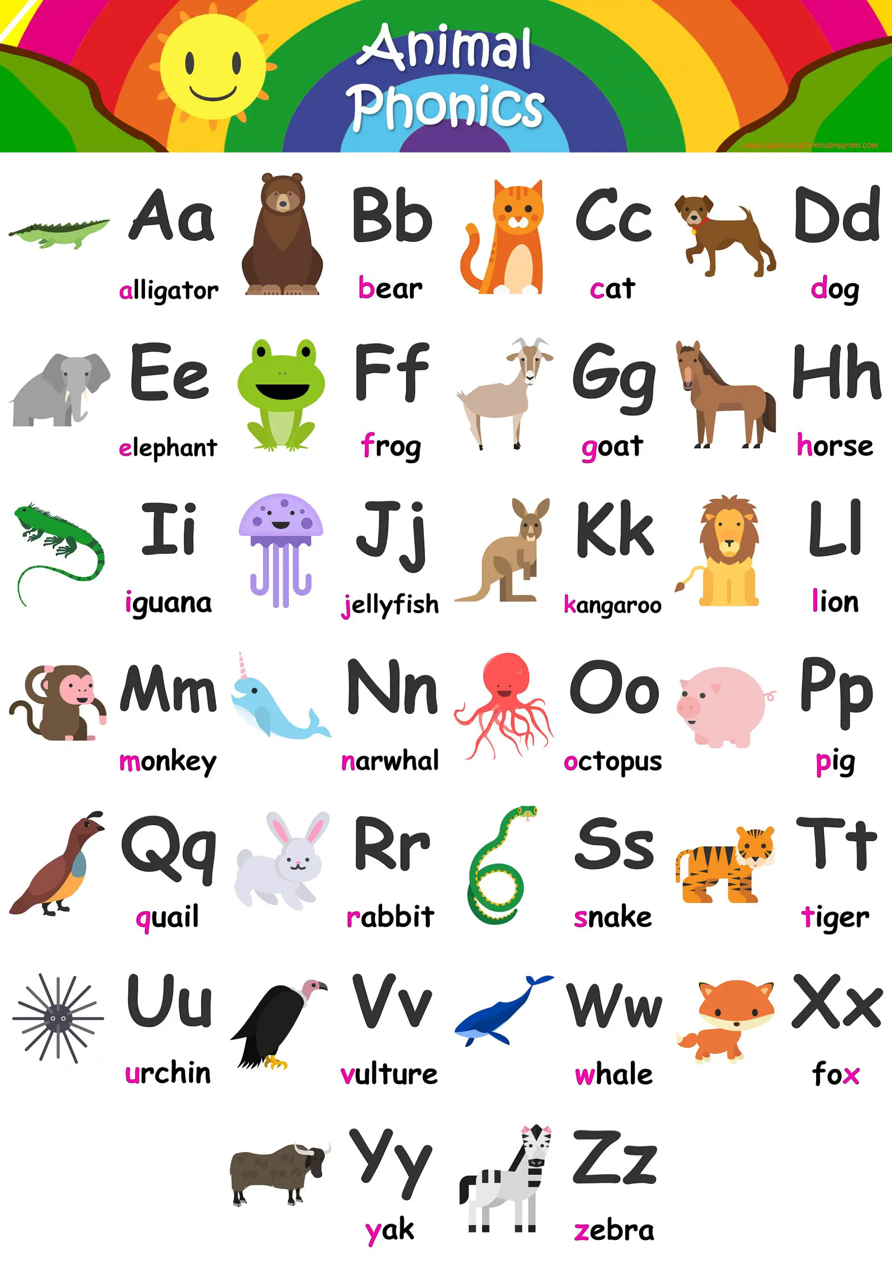 Anima Phonics 自然拼读教材