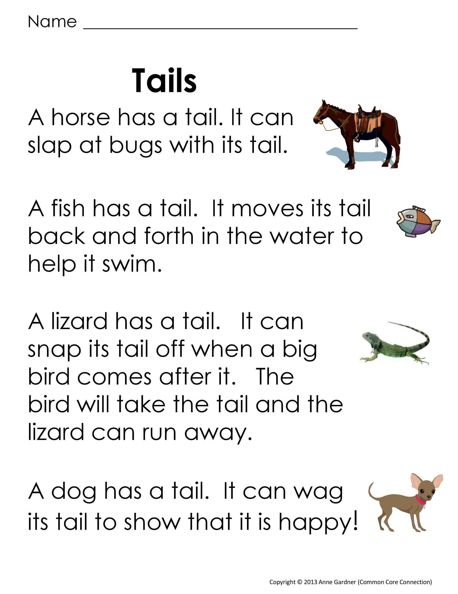 阅读理解训练纸Guided Reading
