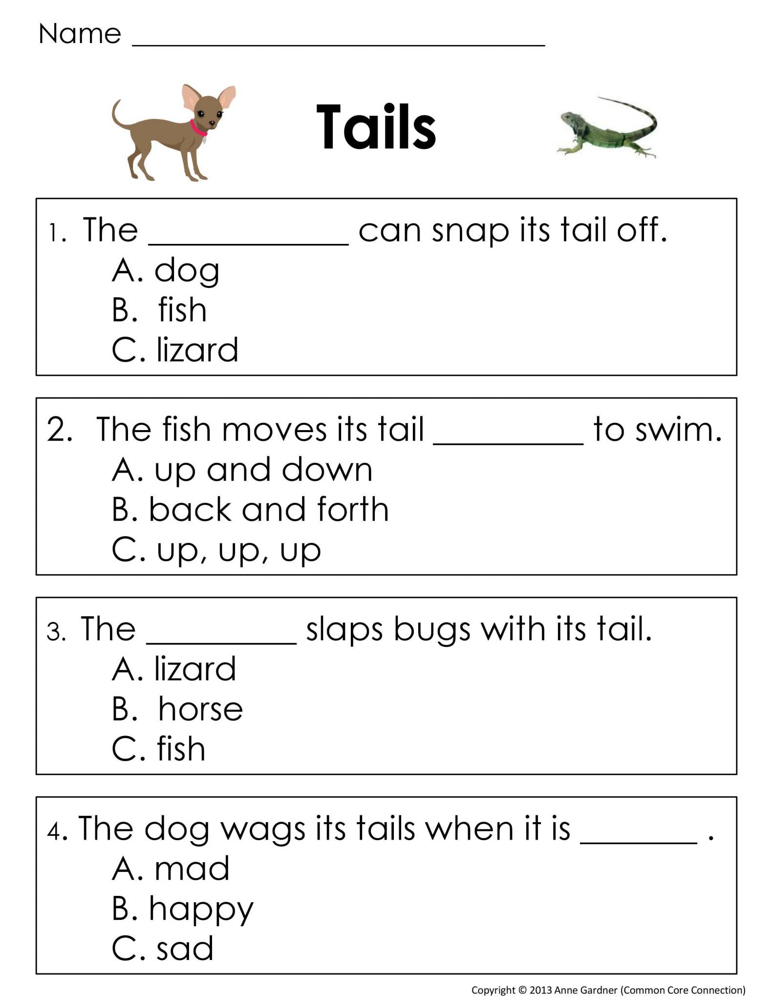 阅读理解训练纸Guided Reading