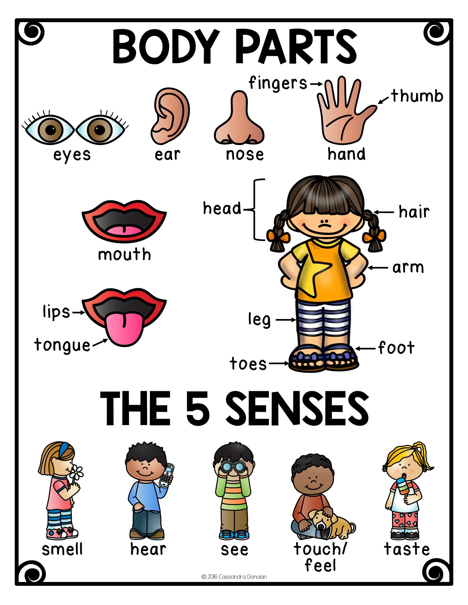Vocabulary for Ells 21个主题英语词汇书