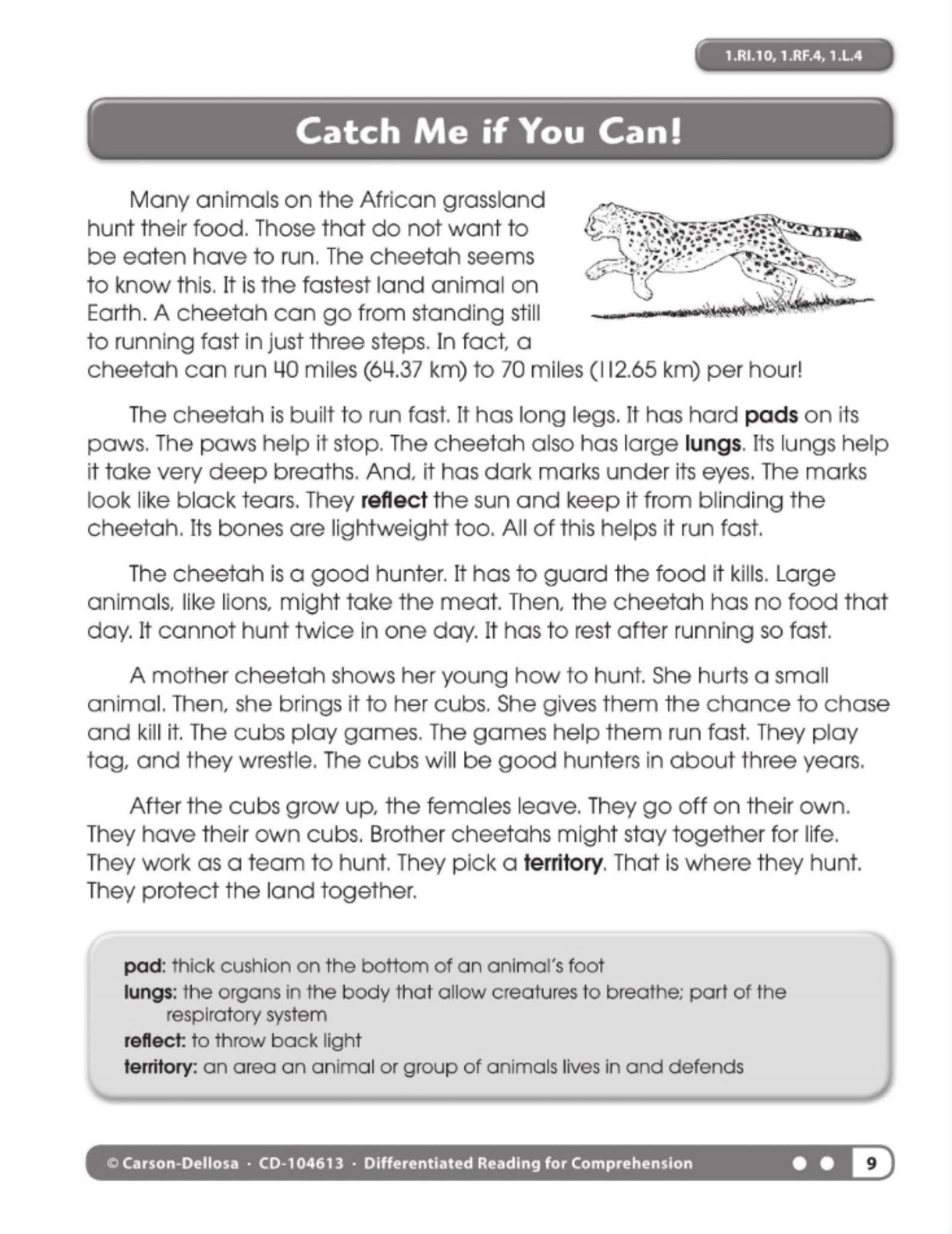 差异化阅读练习册 Differentiated Reading for Comprehension