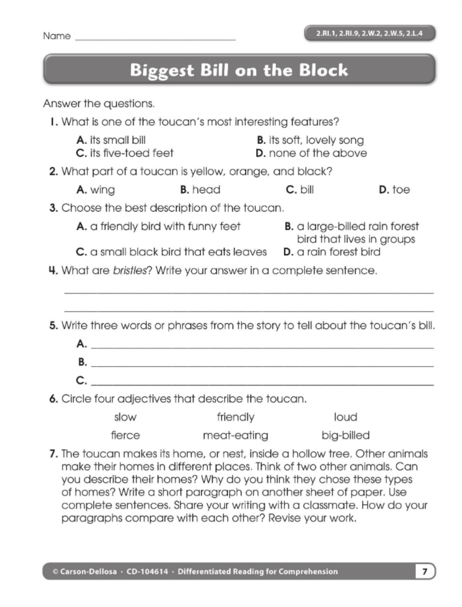 差异化阅读练习册 Differentiated Reading for Comprehension