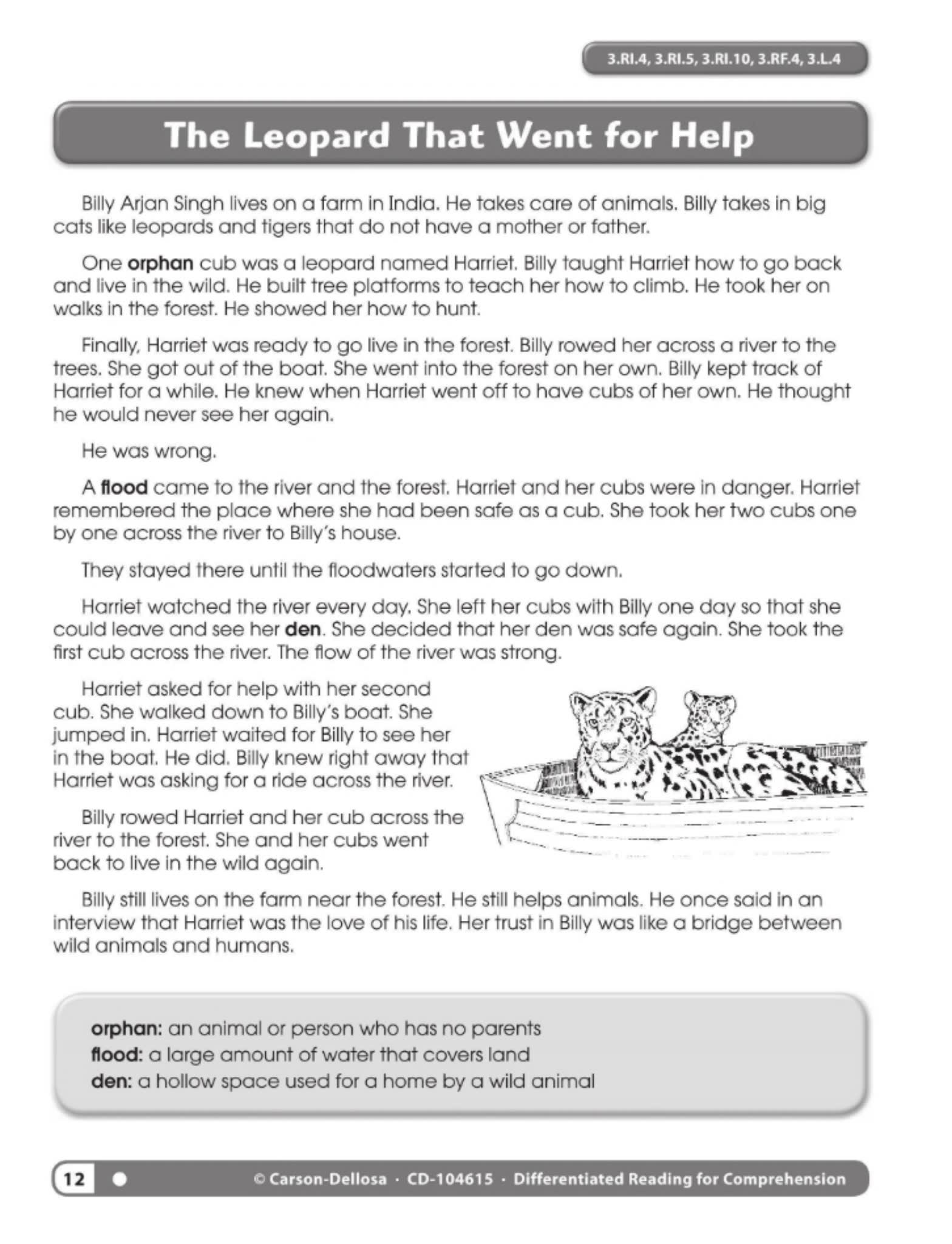 差异化阅读练习册 Differentiated Reading for Comprehension
