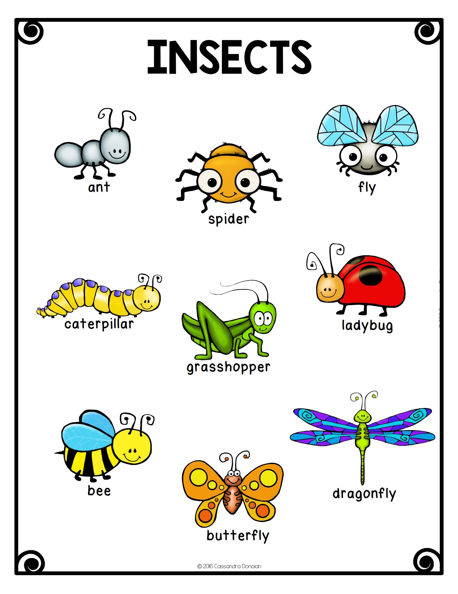 Vocabulary for Ells 21个主题英语词汇书