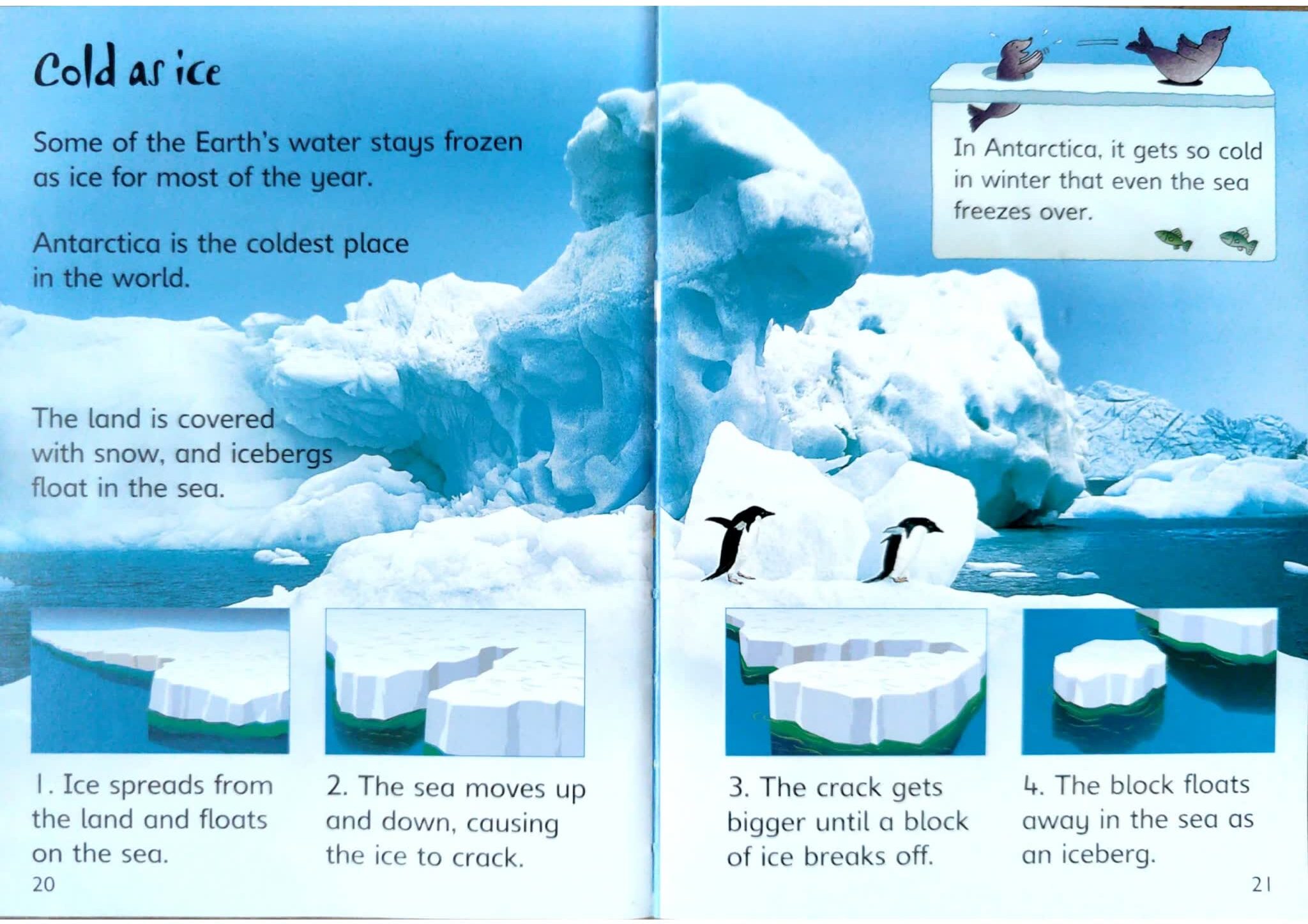 Usborne Beginners Science 初探科学系列