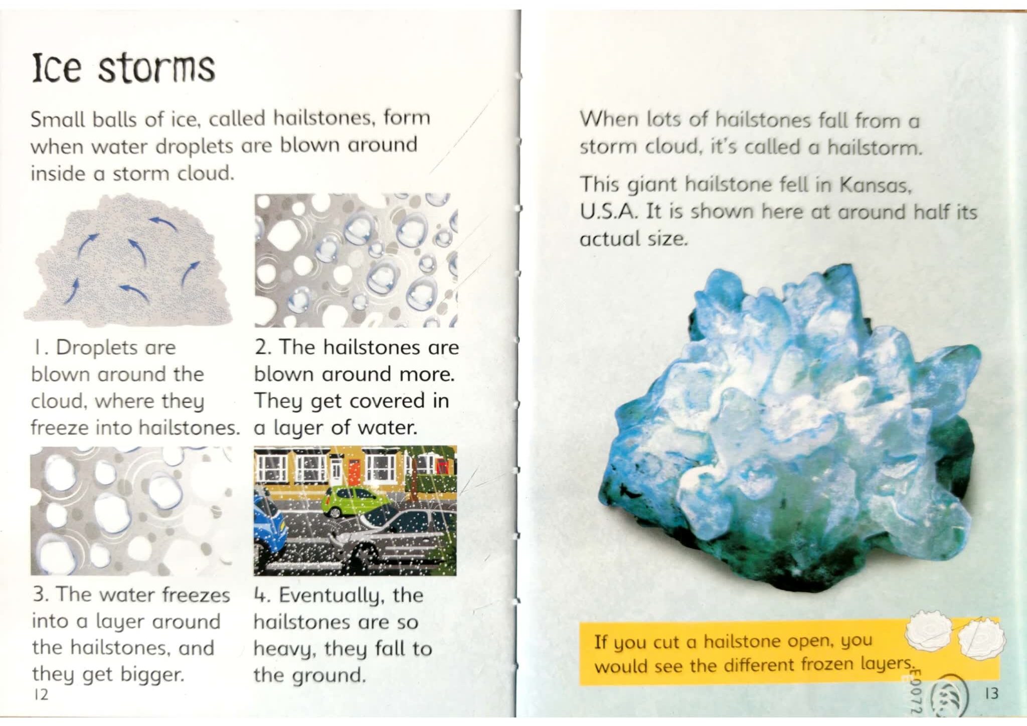 Usborne Beginners Science 初探科学系列