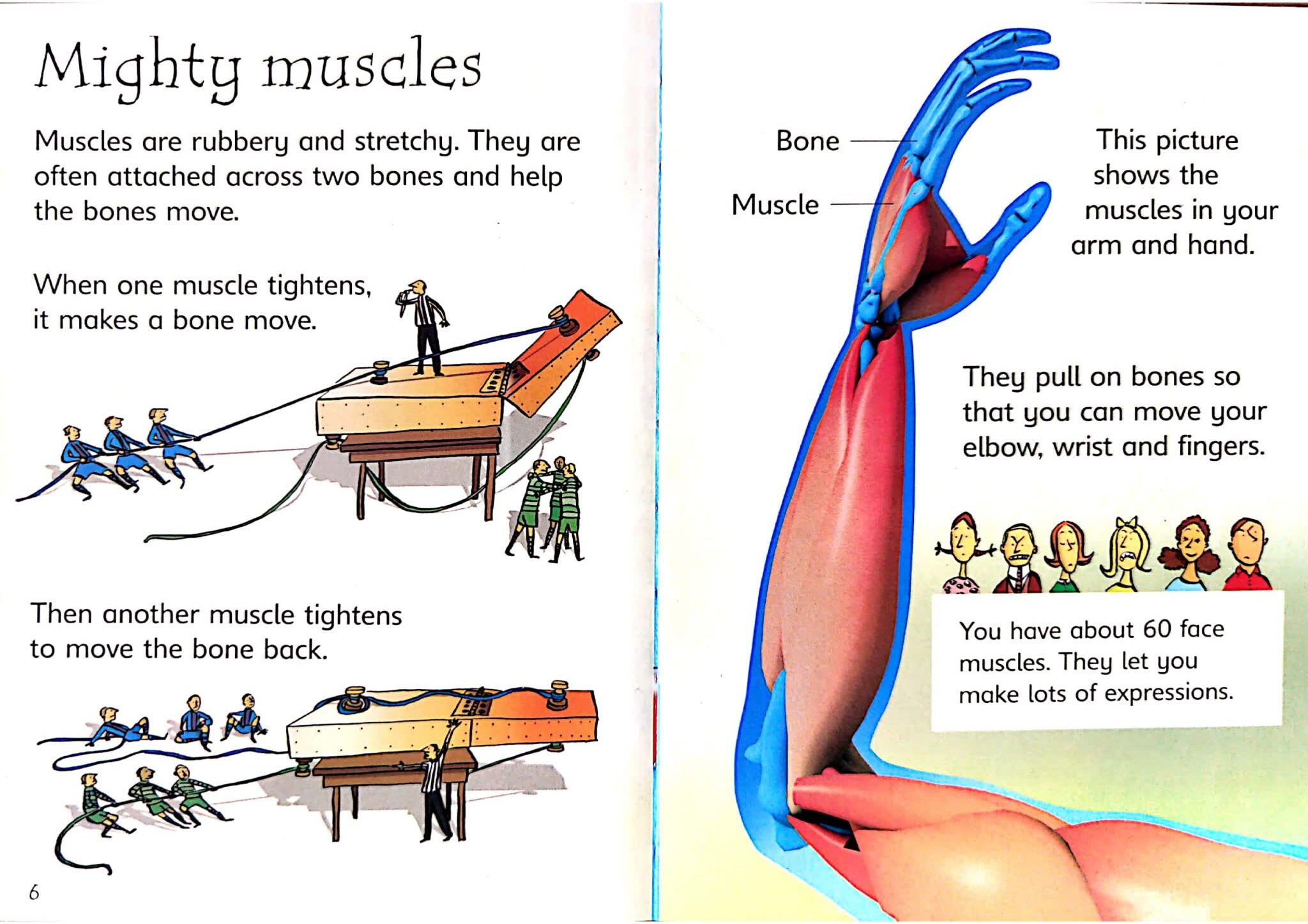 Usborne Beginners Science 初探科学系列