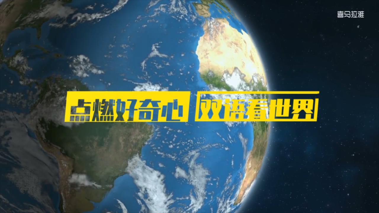 小探险家双语百科视频音频知识卡