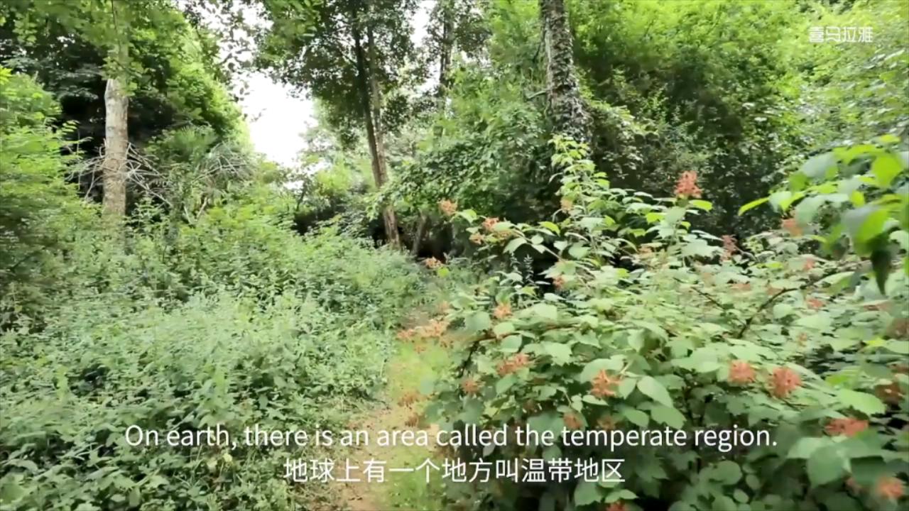 小探险家双语百科视频音频知识卡