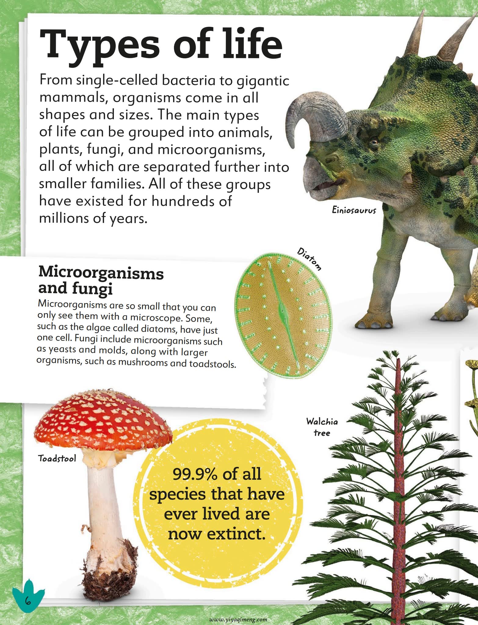 My Book of Dinosaurs and Prehistoric Life恐龙史前生物