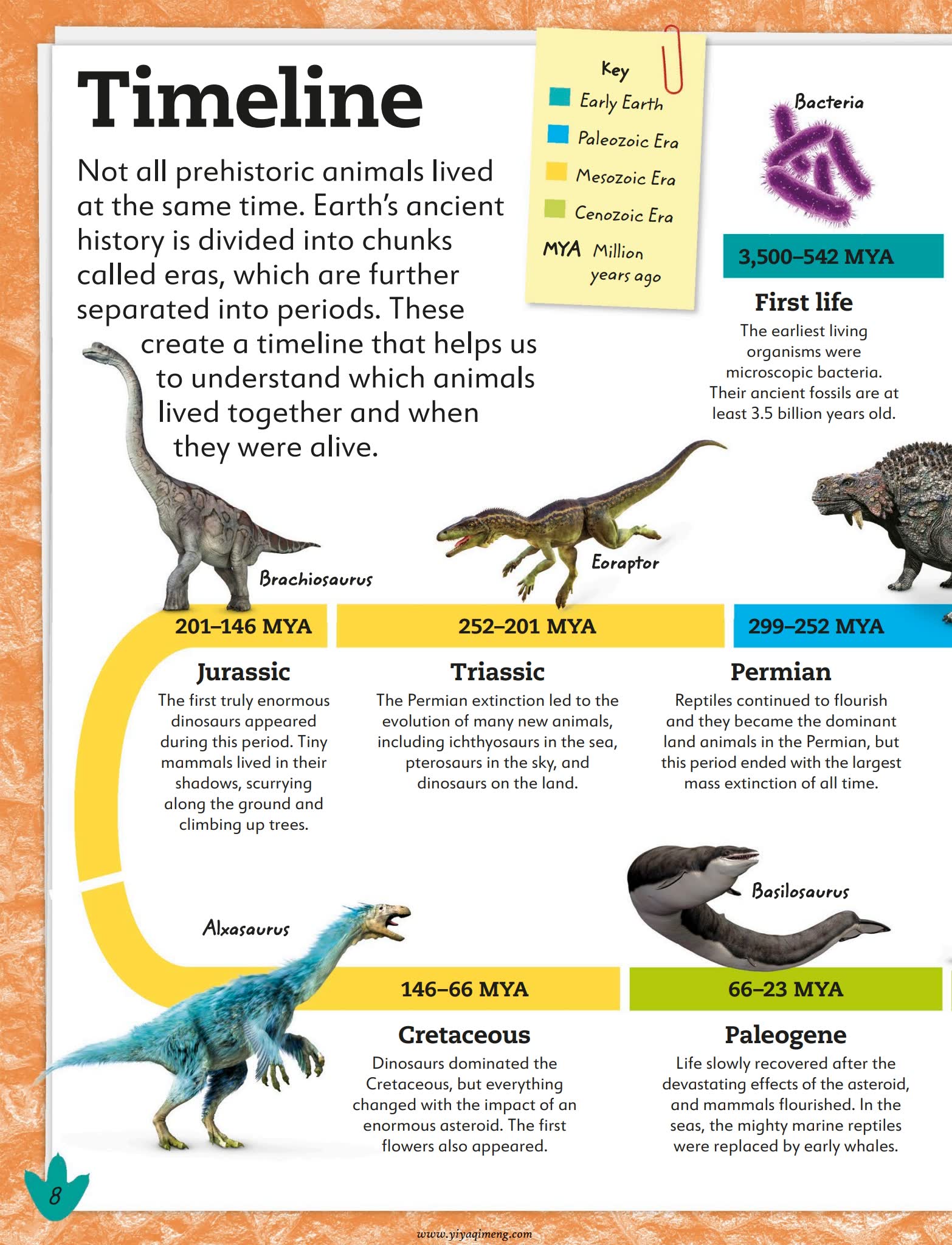 My Book of Dinosaurs and Prehistoric Life恐龙史前生物