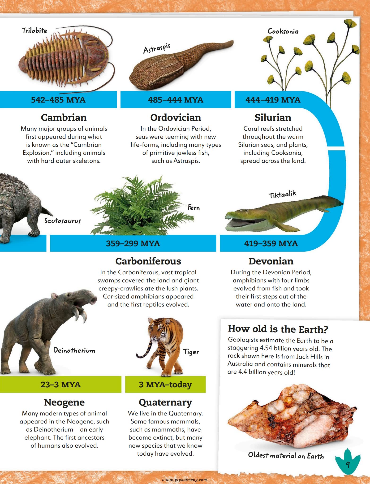 My Book of Dinosaurs and Prehistoric Life恐龙史前生物