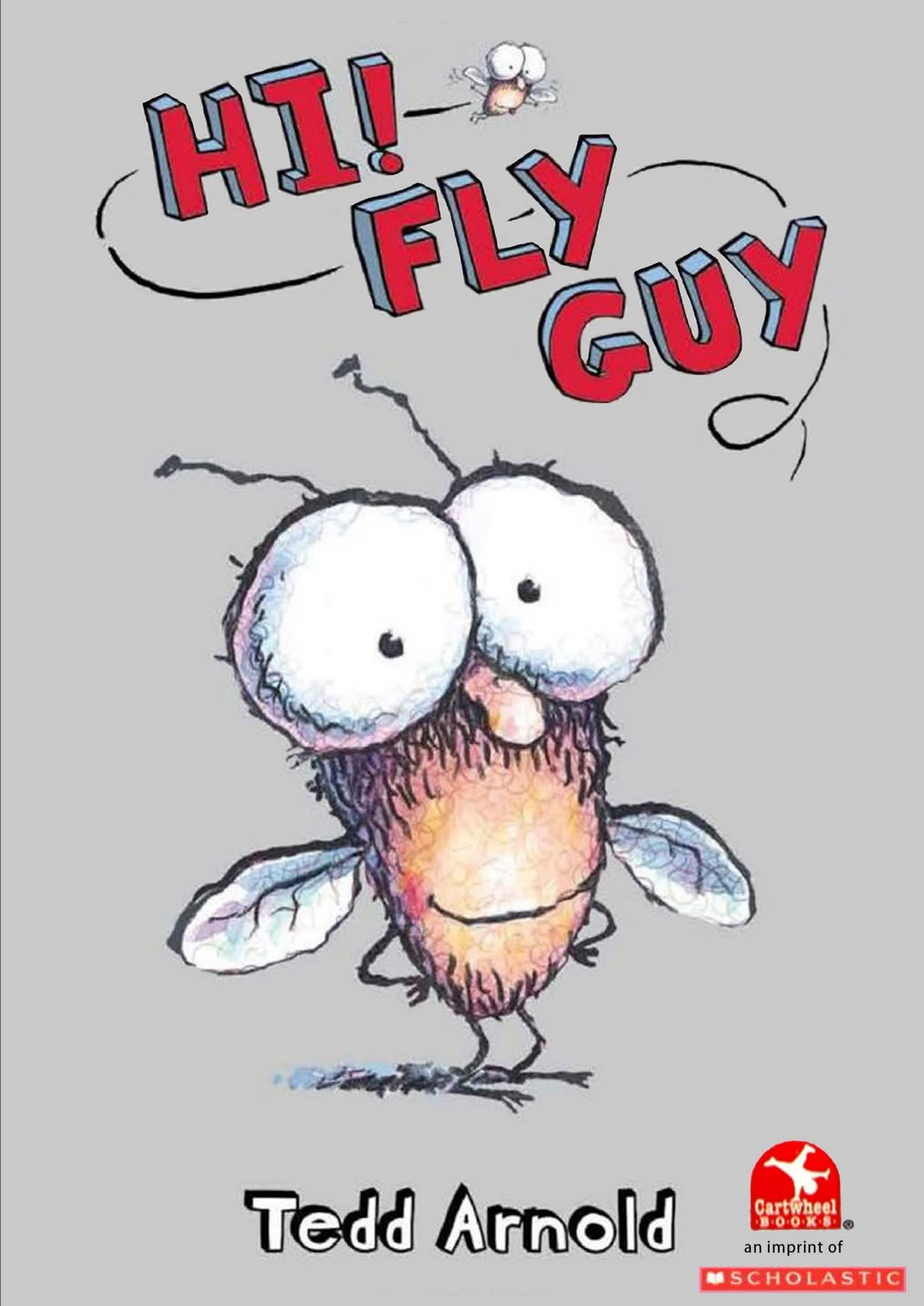 fly-guy1