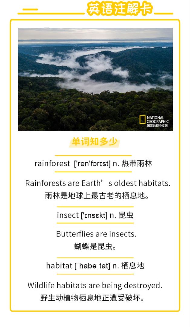 小探险家双语百科视频音频知识卡