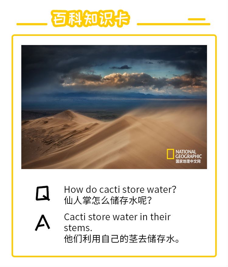 小探险家双语百科视频音频知识卡