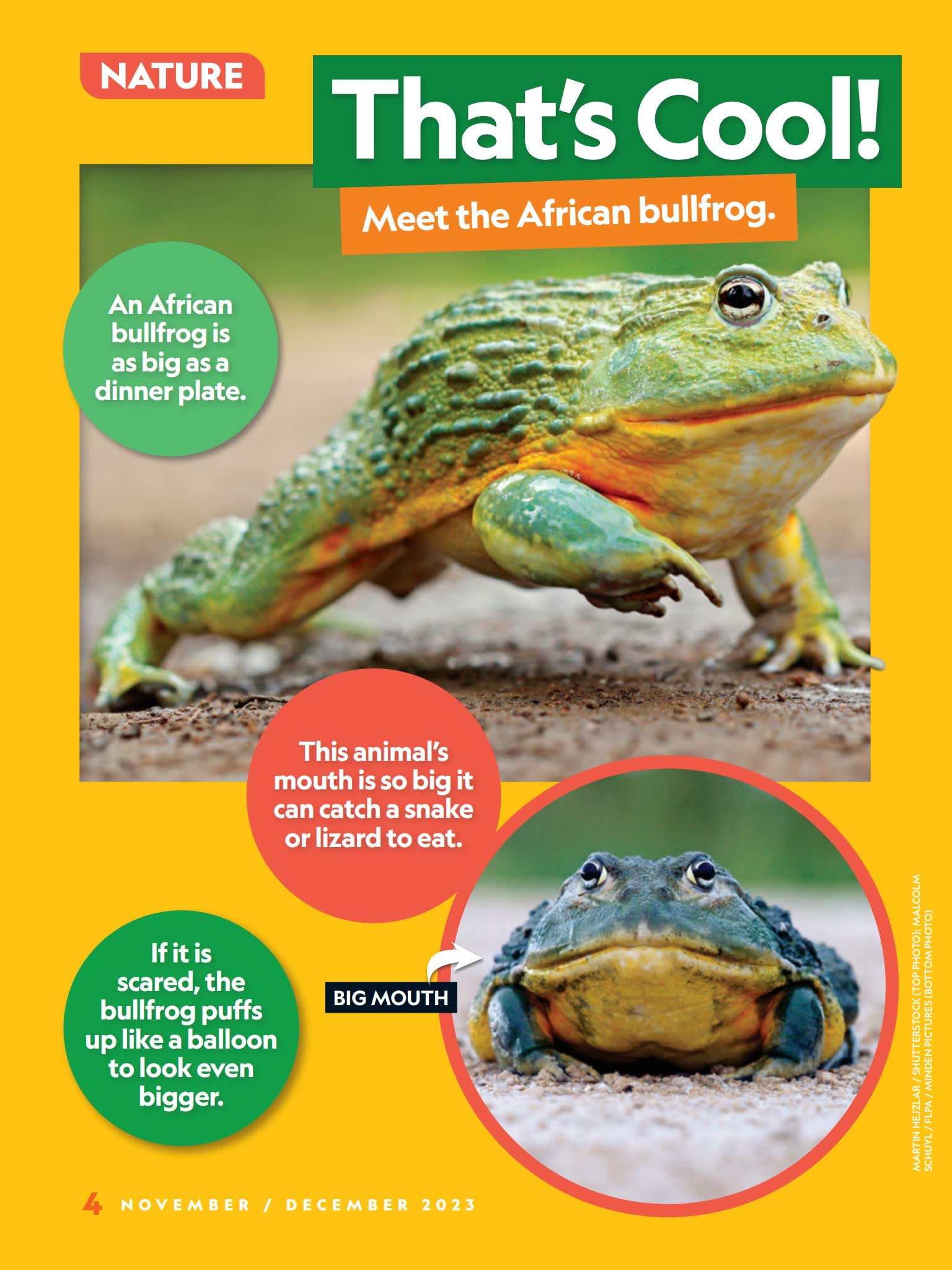 National Geographic Little Kids 2020 2023 PDF national-geographic-little-kids-2020-2023-pdf