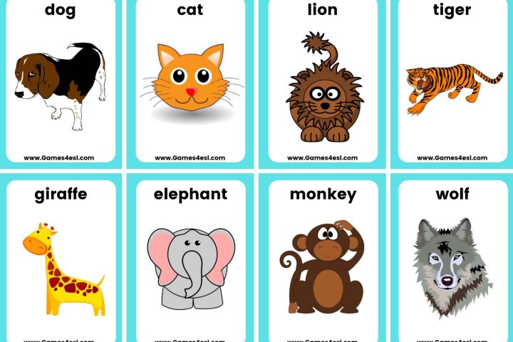 《教师版+学生版启蒙单词卡》精美主题英文闪卡 电子版PDF 百度云网盘下载 | 咿呀启蒙yiyaqimeng.com